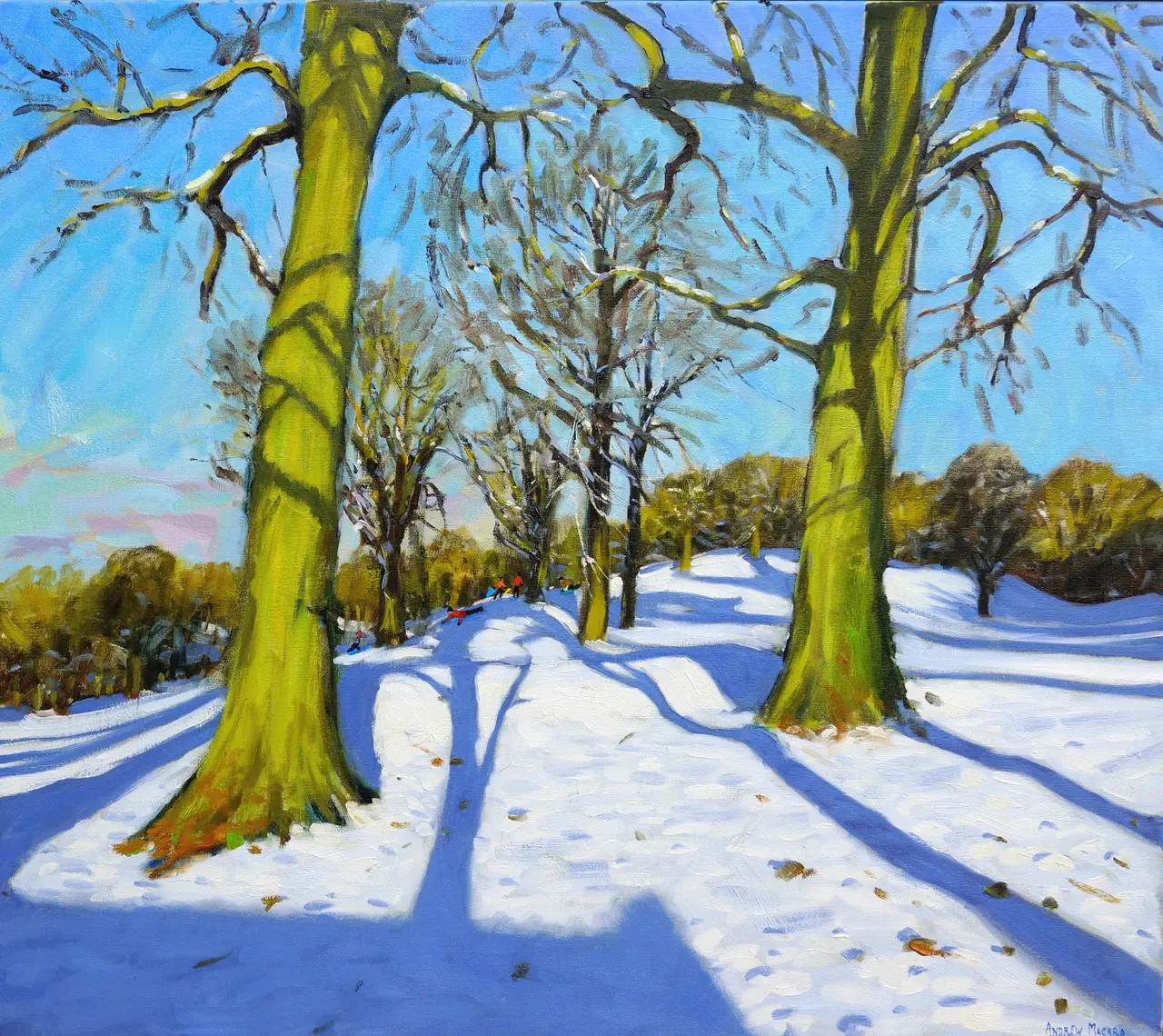 Andrew Macara - winter trees, breadsall priory, derbyshire